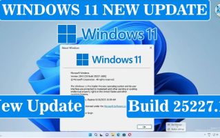 Windows 11 Build 25227预览：深入改善系统更新 优化重启体验